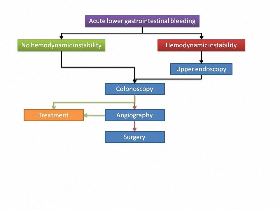 Approach to hematochezia: Clinical sciences - Osmosis Video Library