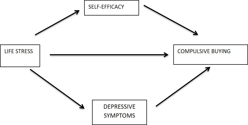 Depressive symptoms and self-efficacy as mediators between life stress ...